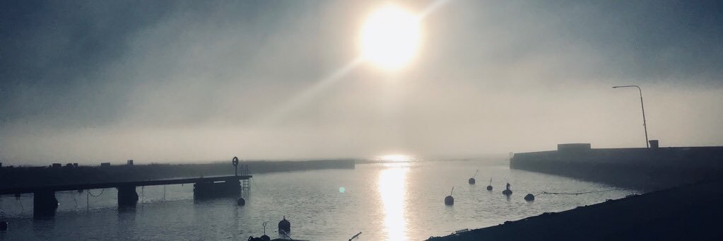 Gotlandskanin's profile banner image