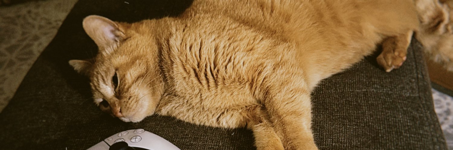 1orange29's profile banner image