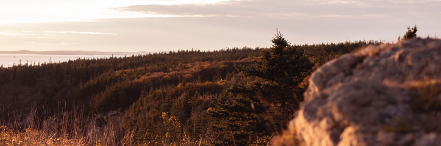 b_radthomson's profile banner image