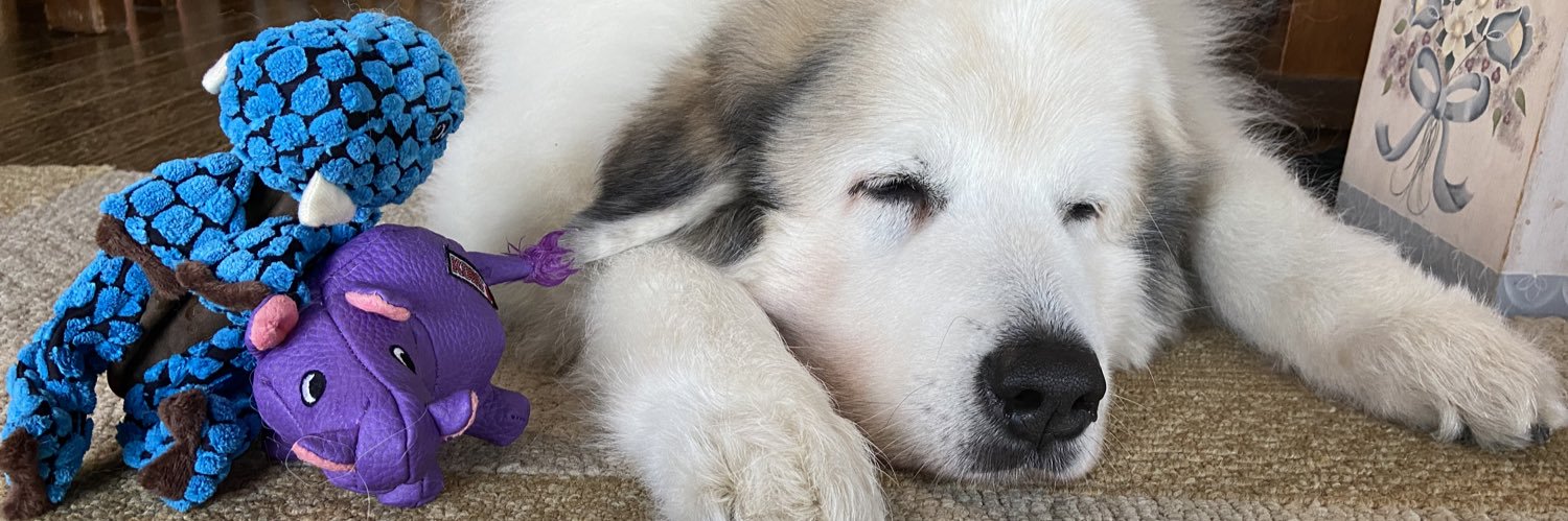 もりた ふうな banner