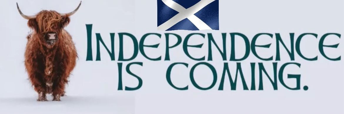 IndependentBoab's profile banner image