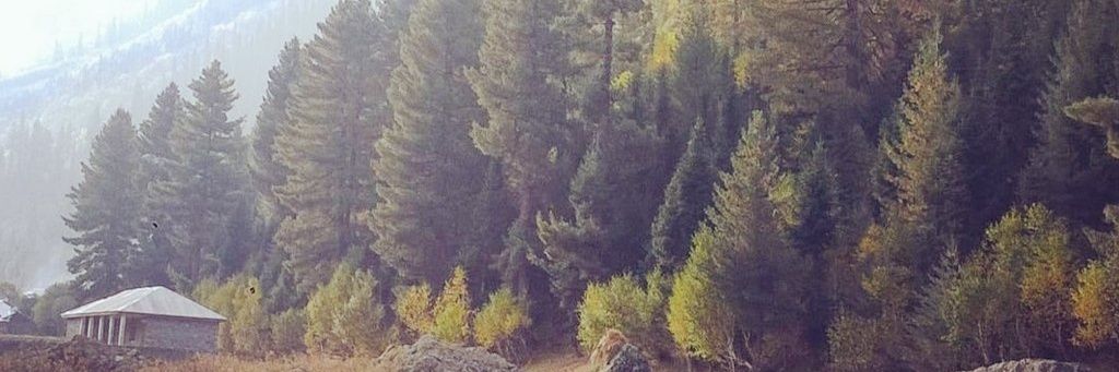 omersaif's profile banner image