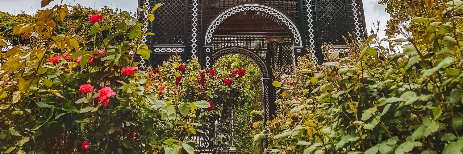FreimaneAlise_'s profile banner image