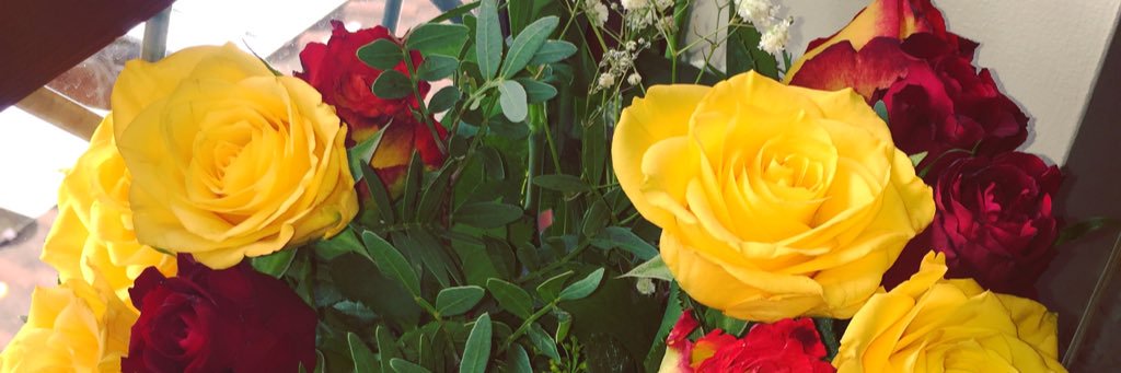 poppyjacobs25's profile banner image