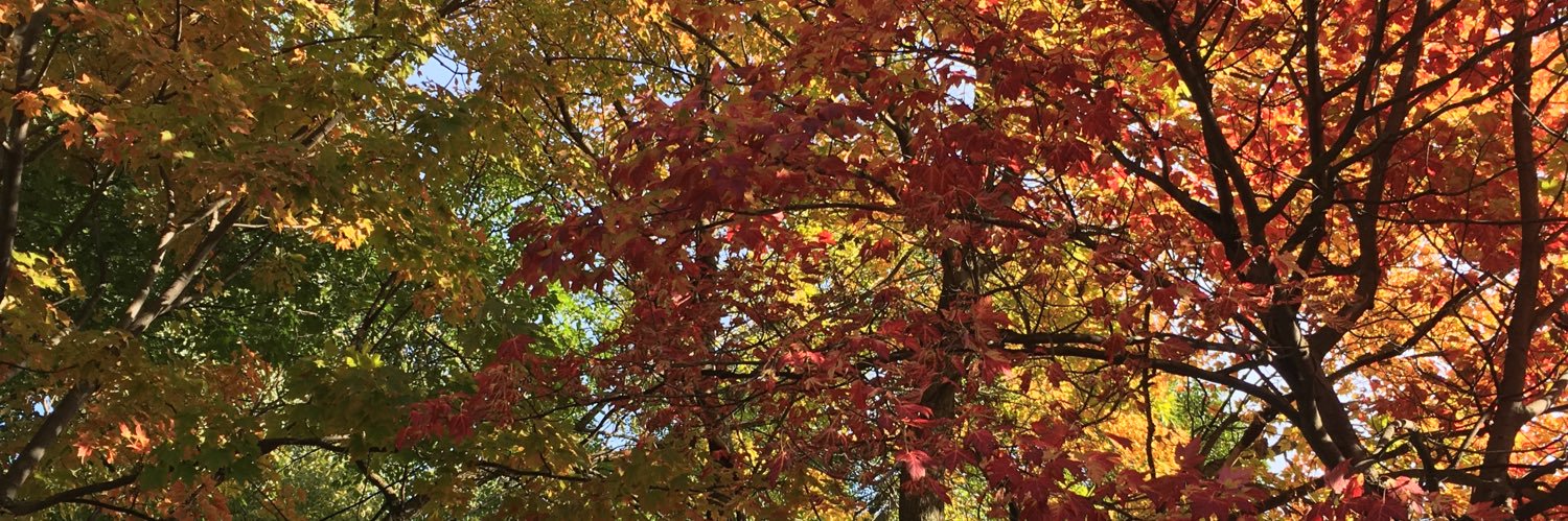 Rafael Portugal banner