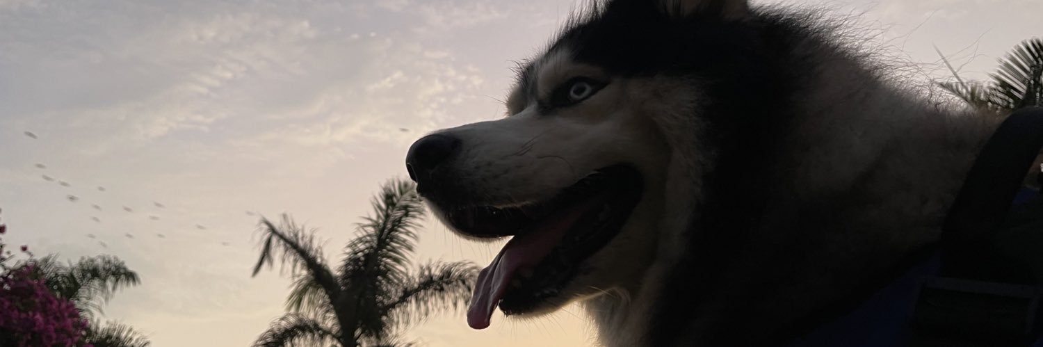 gcavanunez's profile banner image