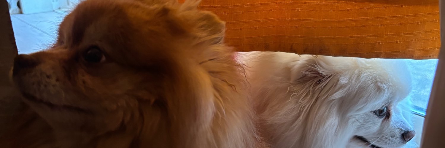 Sabocrhyme's profile banner image