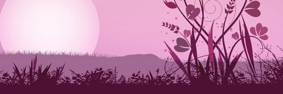 karolmon2014's profile banner image