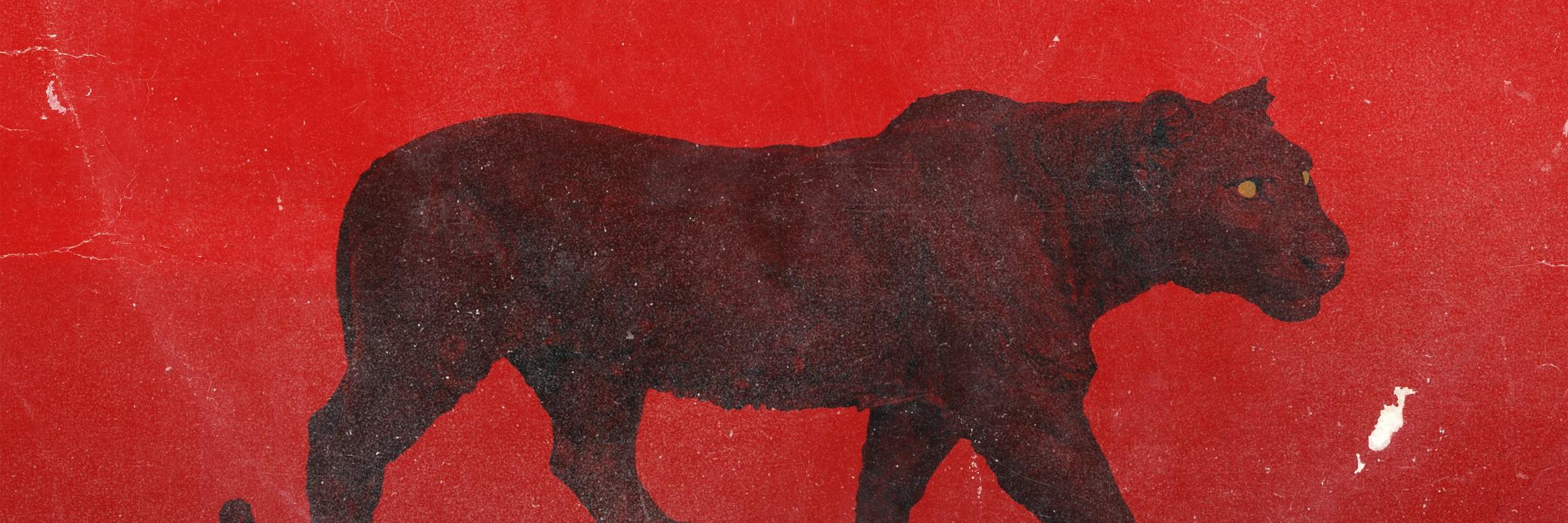 tdutcherr's profile banner image