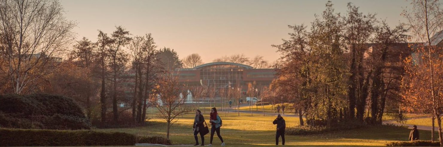 School of Education banner