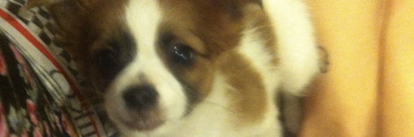 boogityy's profile banner image