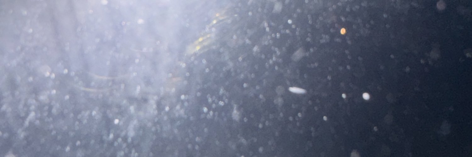 lieeeeflat's profile banner image