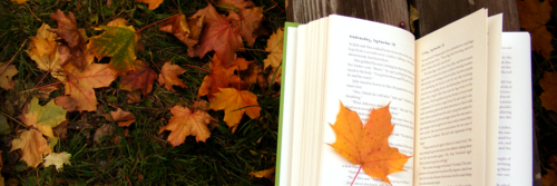 FallReading's profile banner image