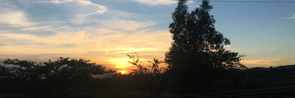 rabilesutu Profile Banner