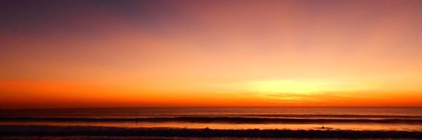 AliceAHorton Profile Banner