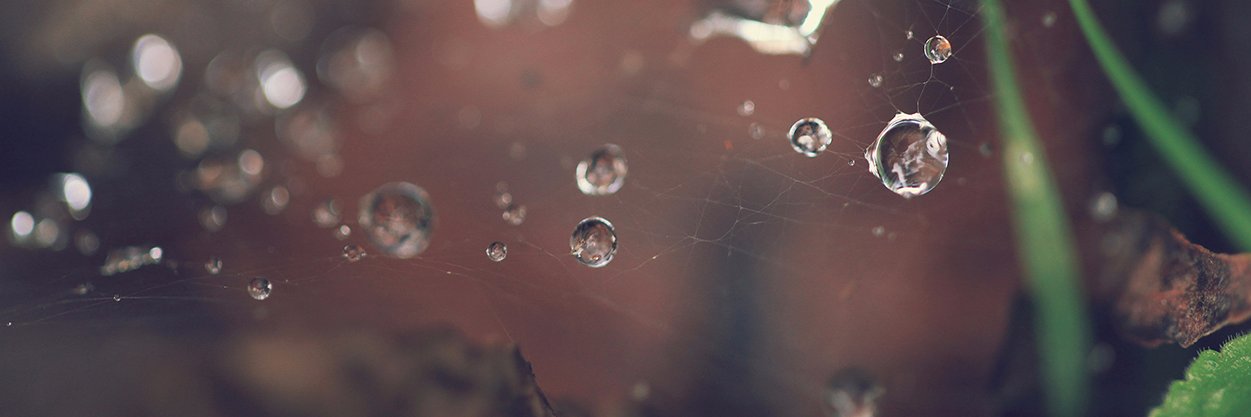 VictorMSanchz's profile banner image