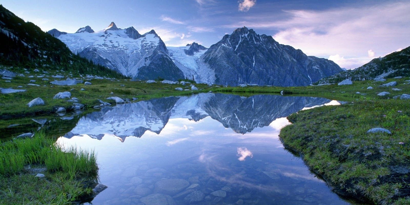 CARLOS AUGUSTO ROZO  banner