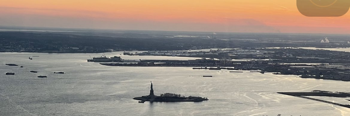 Rachel Solnick banner