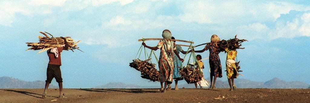 Life&Peace Institute banner