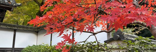 isoiphone Profile Banner