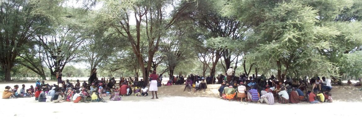 Life&Peace Institute banner