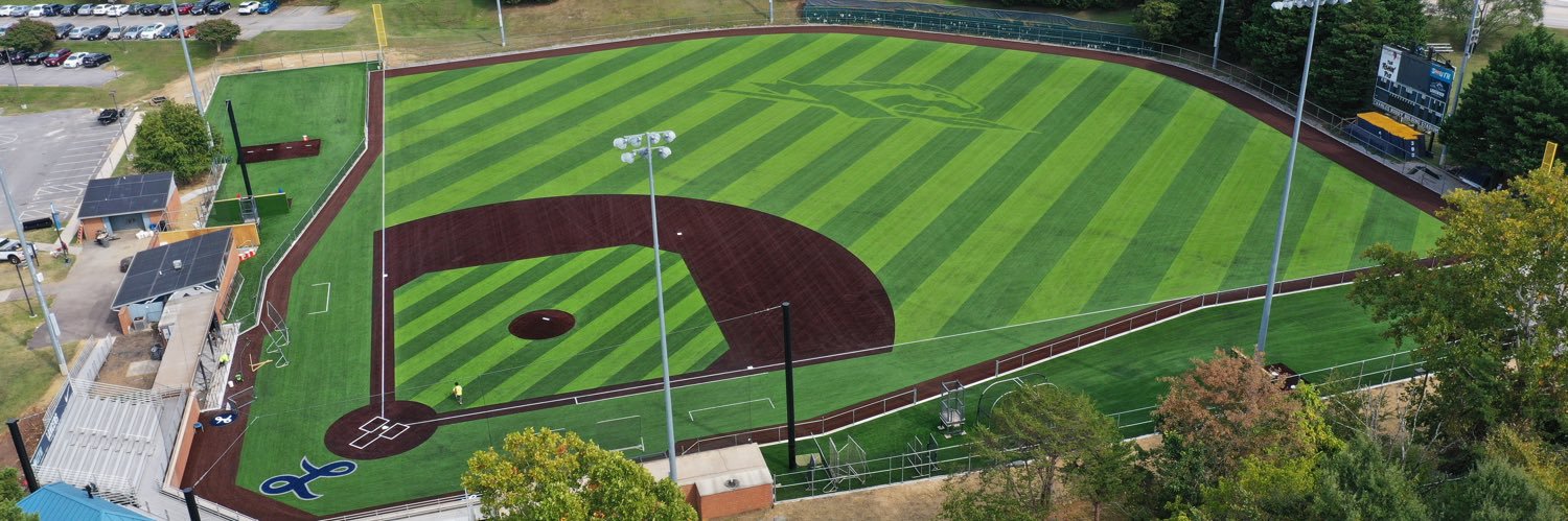 Longwood Baseball banner