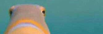 soyjosoto's profile banner image