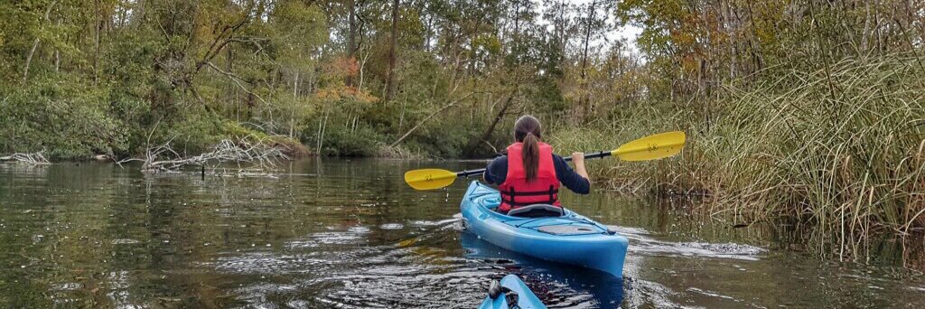 Finding Debra banner