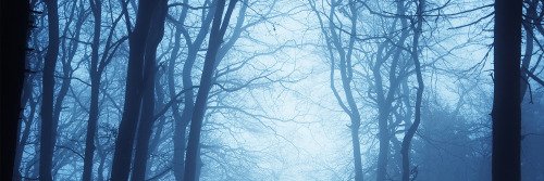 vertdegrey's profile banner image