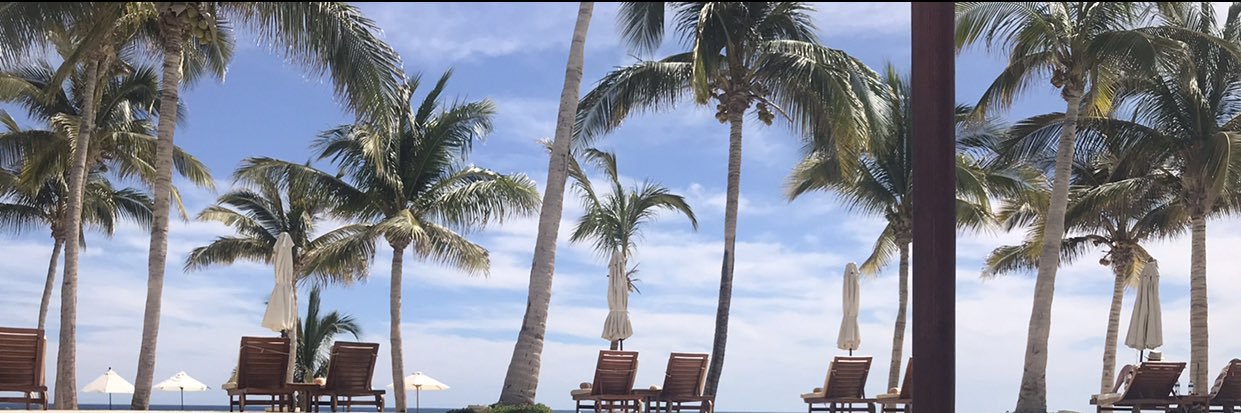 Shari Herbert banner