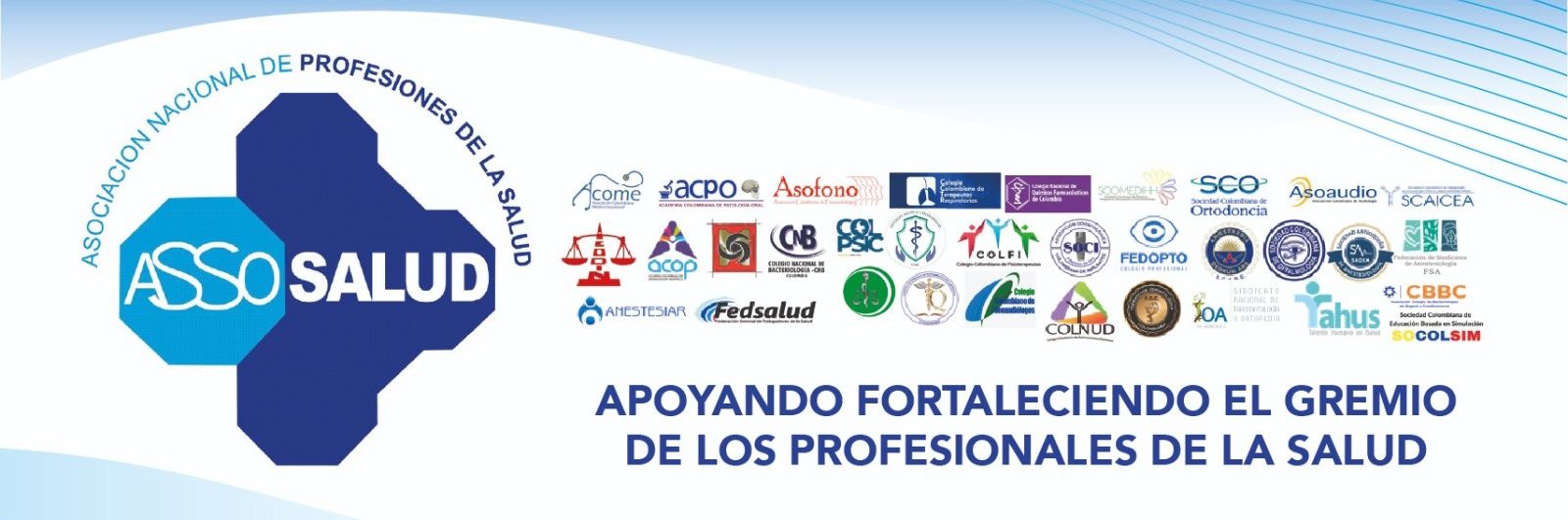 Asociación Nacional de Profesiones de la Salud banner