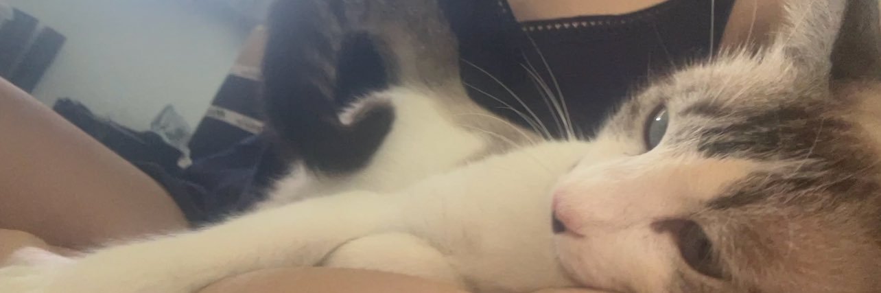 sqqxwc's profile banner image
