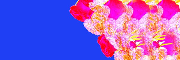 cristinyyya Profile Banner