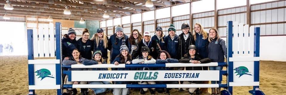 Endicott Equestrian banner