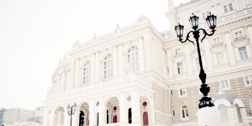 FraudestElgort's profile banner image