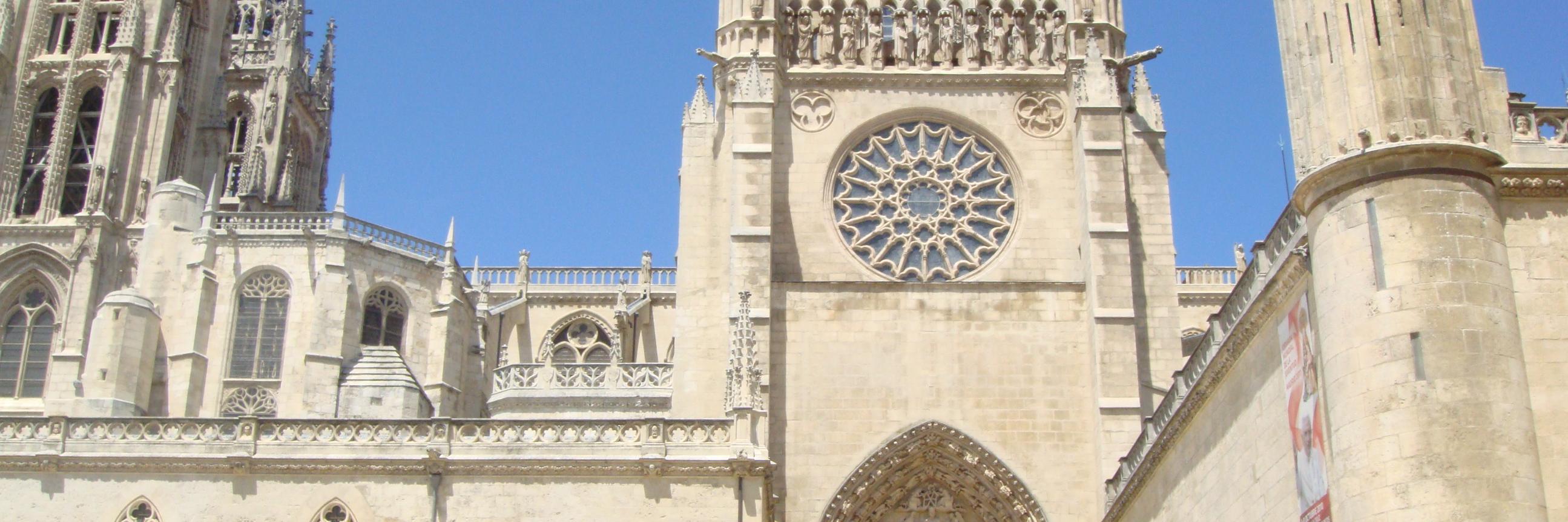 tutoracurso's profile banner image