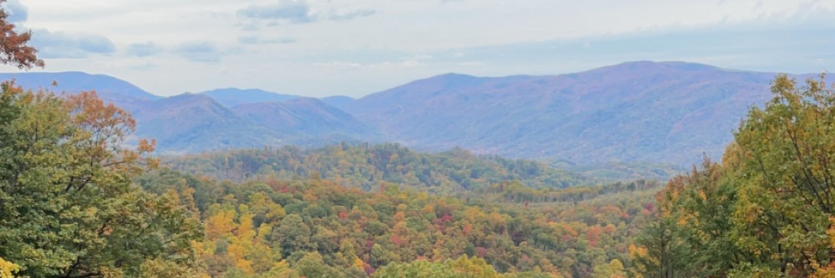 qv1126's profile banner image