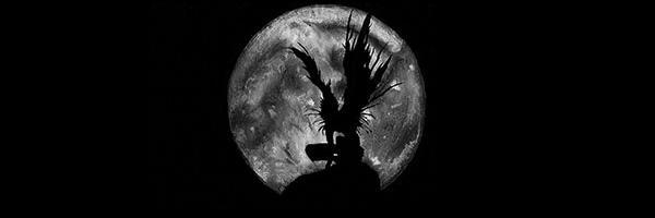 RenaJaskjaak's profile banner image