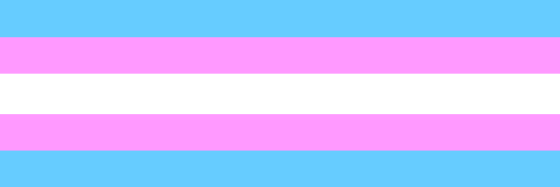 FtMDetroit's profile banner image