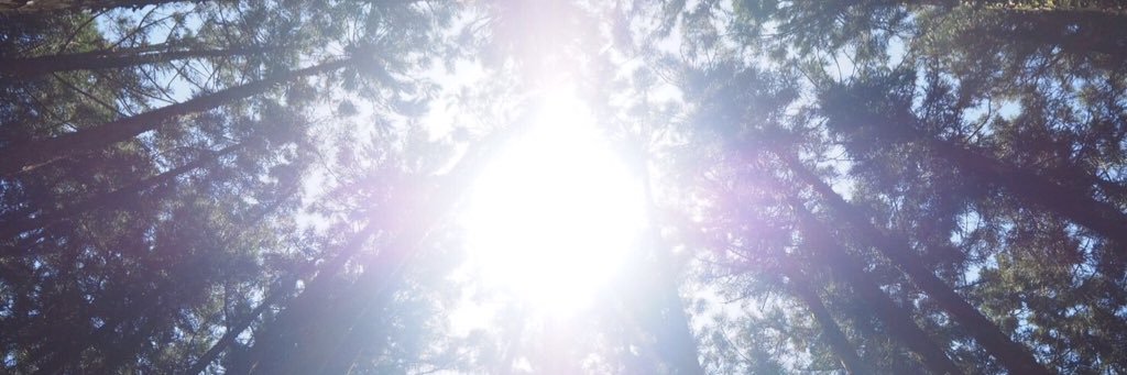3_yuuhi's profile banner image