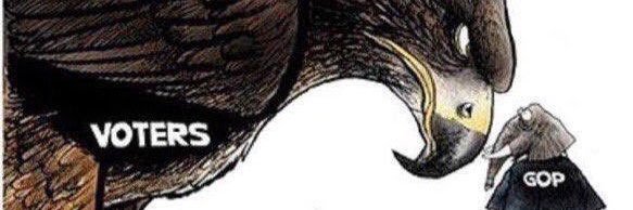 Cogito Ergo Resist 🐶🧠🌷🕺🏻🎤⛎♿️🏳️‍🌈🌎🟧 banner