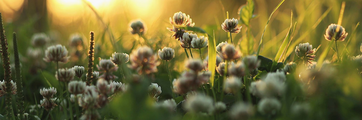 Be_Well_Henley's profile banner image