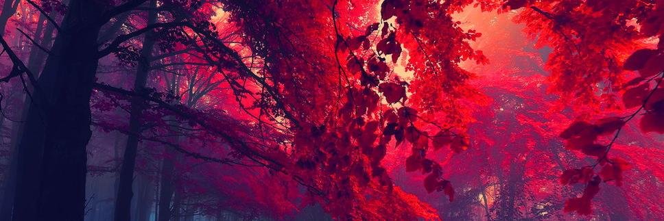 Gabrielavdz's profile banner image