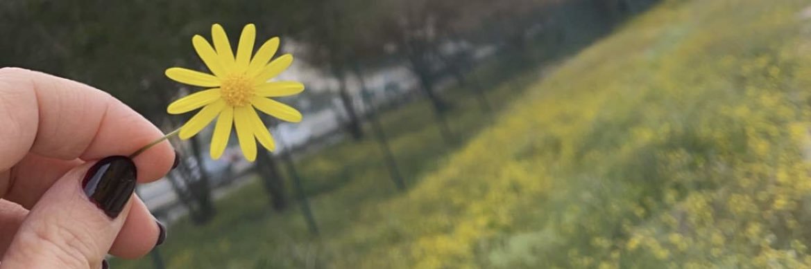 7anan76's profile banner image