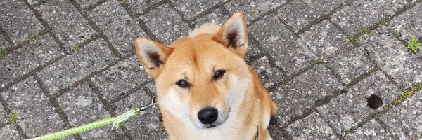 M0TREX Profile Banner