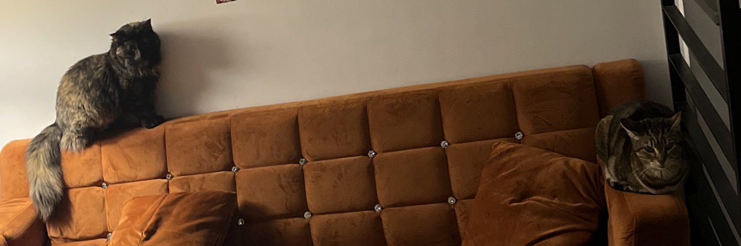 will king banner