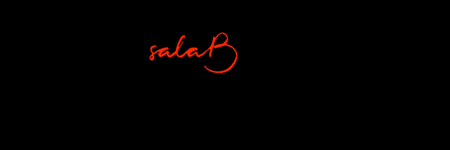 SalaB_244's profile banner image