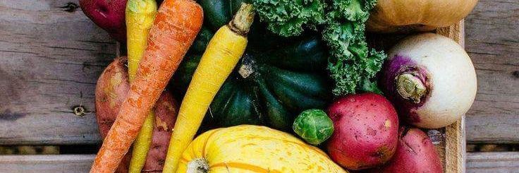 Sara4Wellness's profile banner image