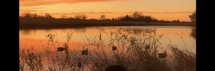 ColeDaniel_45's profile banner image