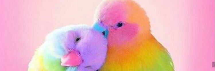 temieasy's profile banner image